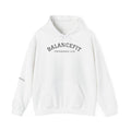 Balancefit Hoodie – Heavy Blend Unisex Sweatshirt